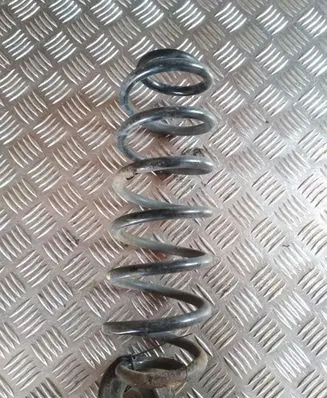 Volkswagen PASSAT B6 Rear coil spring