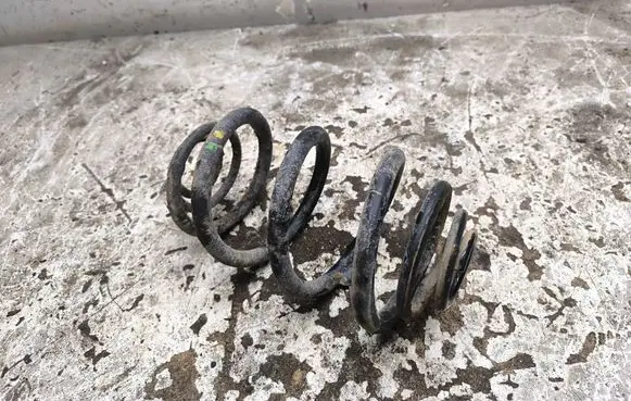 Opel Vivaro Rear coil spring 