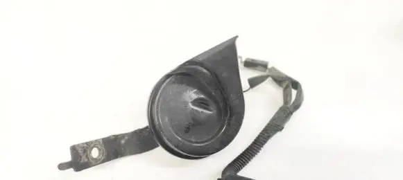 Horn signal