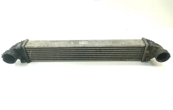 Mercedes-Benz A W169 Intercooler radiator A1695000000