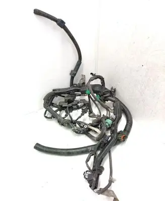 Engine installation wiring loom