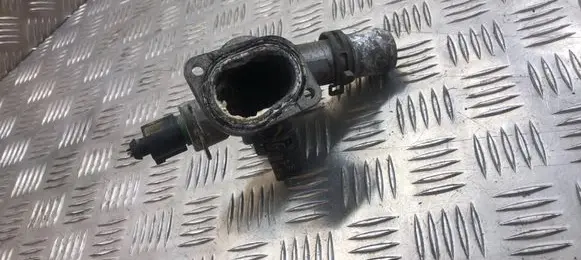 Thermostat/thermostat housing