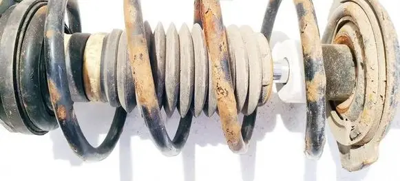 Front coil spring