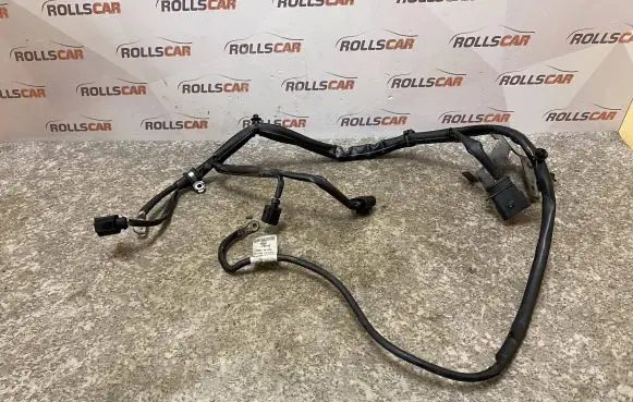 Engine installation wiring loom