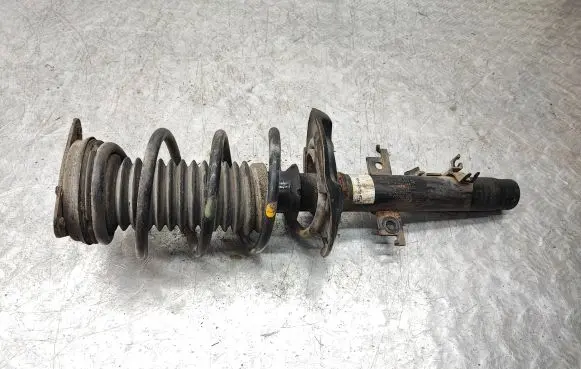 Nissan Qashqai Front shock absorber with coil spring 317627
