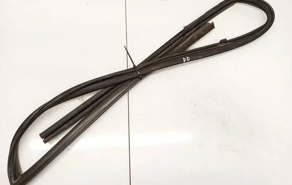 Nissan X-Trail T30 Rubber seal front coupe door