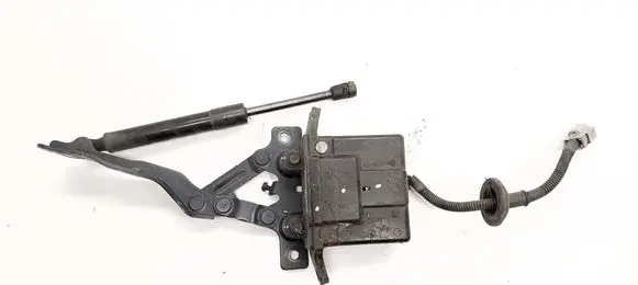 Hyundai Santa Fe Engine bonnet/hood hinges 791502W000