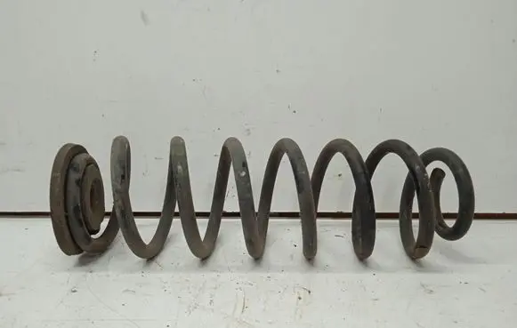 Rear coil spring
