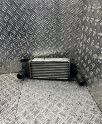 Citroen C5 Intercooler radiator 874823N