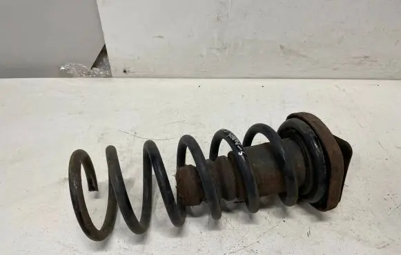 Ford S-MAX Rear coil spring