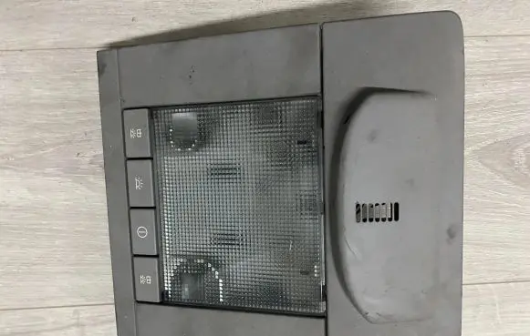 Opel Signum Front seat light 273893313