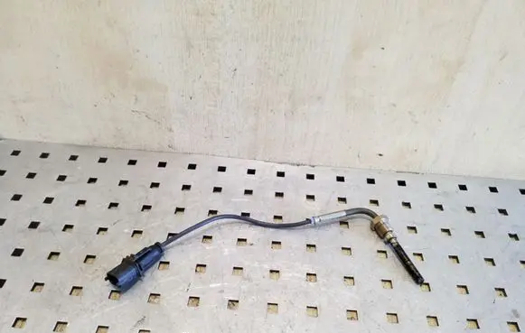 Opel Zafira C Exhaust gas temperature sensor 55566185 ESNBTS200