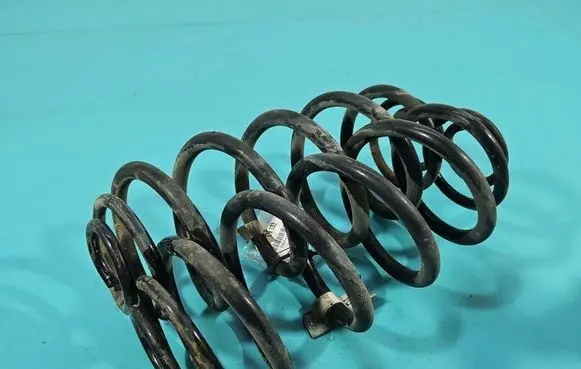 Rear coil spring