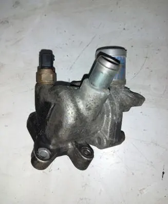 Thermostat/thermostat housing