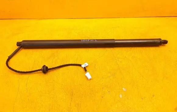 Tailgate strut