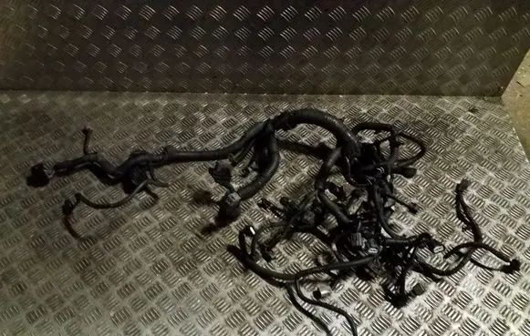 Nissan Juke I F15 Engine installation wiring loom 240111KA2C