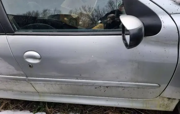 Peugeot 206 Front door