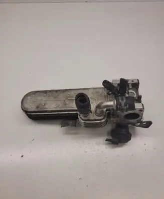 Volkswagen Golf V EGR valve cooler 038131513D