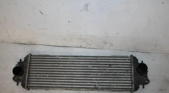 Opel Vivaro Intercooler radiator 91166035 868926QJ TA1009