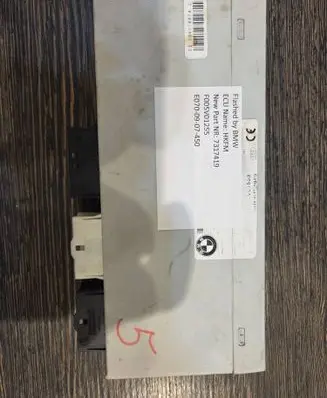 BMW X5 E70 Tailgate/trunk control unit/module 7317419