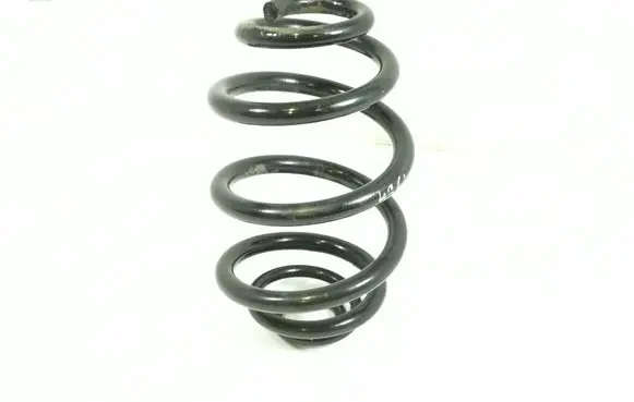 Rear coil spring