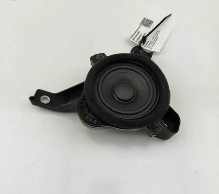 Panel speaker