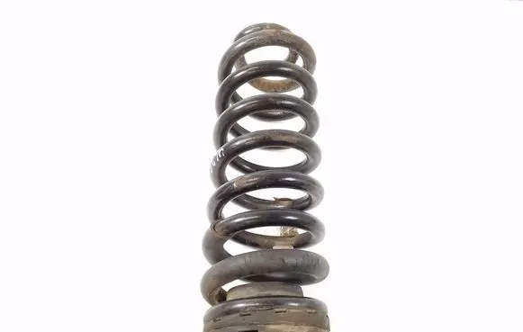 Rear coil spring
