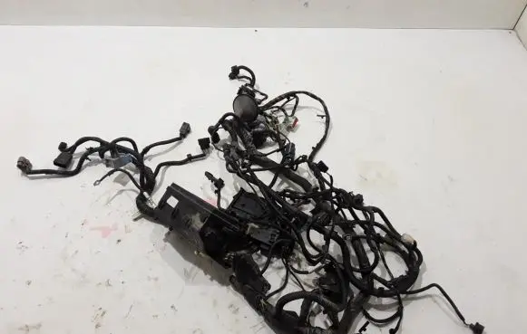 Ford Kuga II Other wiring loom FV4T17A611AC