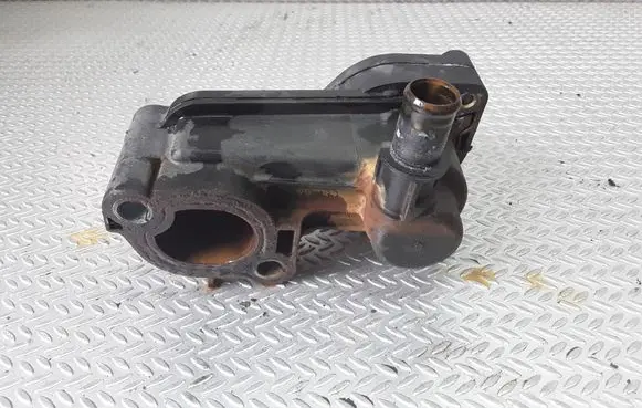 Thermostat/thermostat housing