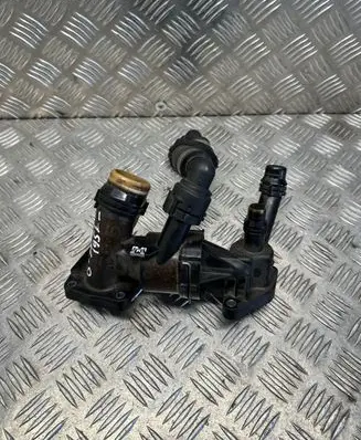 Thermostat/thermostat housing