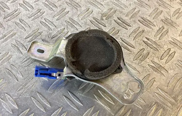 Front door speaker