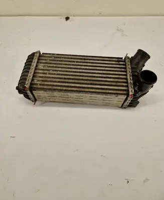 Ford C-MAX II Intercooler radiator 8V619L440CE