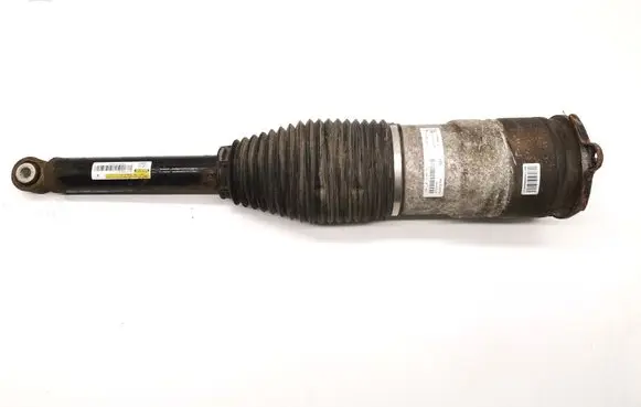 Tesla Model S Rear shock absorber with coil spring 6006352-06-C