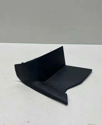 Rear/tail light trim molding