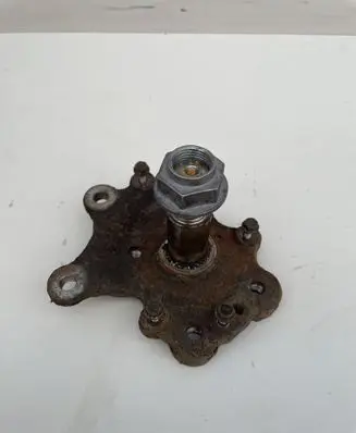 Renault Scenic IV - Grand scenic IV Rear wheel hub spindle/knuckle 3600R