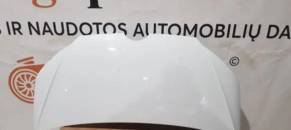 Engine bonnet/hood