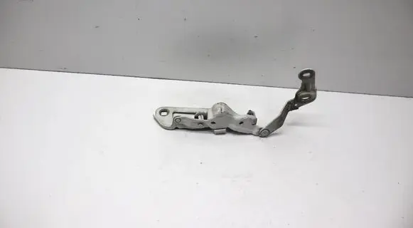 Porsche Panamera (970) Engine bonnet/hood hinges 97051115202