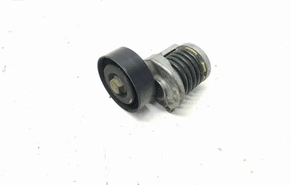 Volkswagen Tiguan Alternator belt tensioner 038903315AH