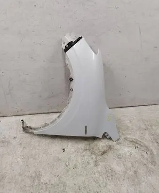 Renault Kadjar Fender
