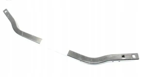 Engine bonnet/hood lock trim molding