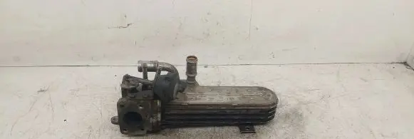 Seat Toledo III (5P) EGR valve cooler 03G131513J 3239787 156527804