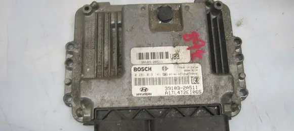 Hyundai Getz Engine control unit/module 391032A511