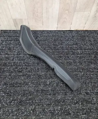 Rear/tail light trim molding