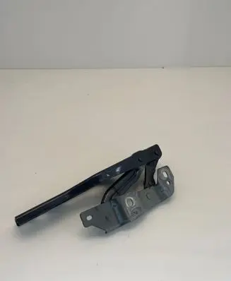 Cupra Formentor Engine bonnet/hood hinges 5FF823301