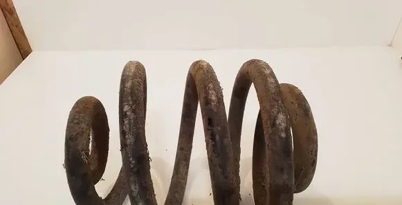 Ford Galaxy Rear coil spring