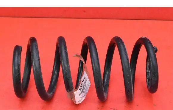 Rear coil spring