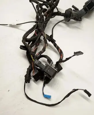 BMW 6 F06 Gran coupe Front door wiring loom 9355649