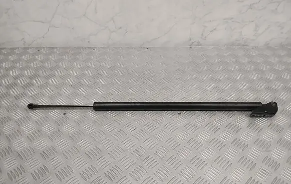 Tailgate strut