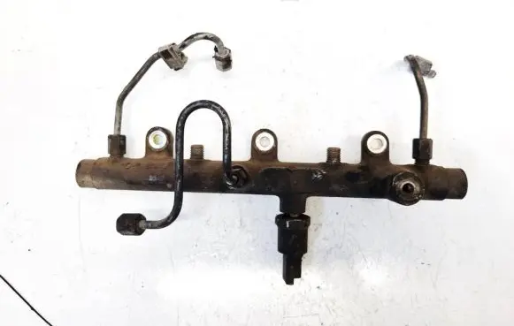 Peugeot 406 Fuel main line pipe 0445214019