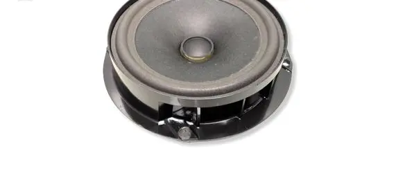 Cupra Born Rear door speaker 11A035710